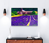 Obraz Maľované levanduľové pole zs1334